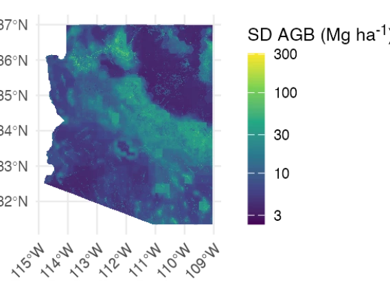 A map of Arizona where the standard deviation in AGB is represented by color.  There is high standard deviation in areas that roughly correspond to mountain ranges and low standard deviation in lower elevations.