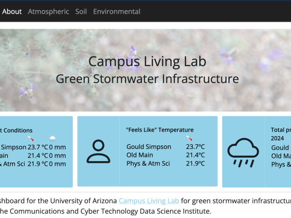 Screenshot of the landing page at https://viz.datascience.arizona.edu/gsi-dashboard/