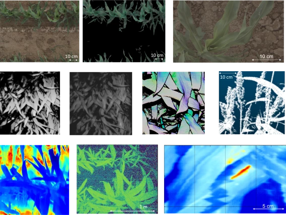 10 figures displaying example data from the TERRA-REF gantry system. from top left, RGB image, RGB soil mask, RGB close up; 3D-scanner data depth, reflectance, and surface normals, point cloud, thermal, PSII fluorescence, Hyperspectral