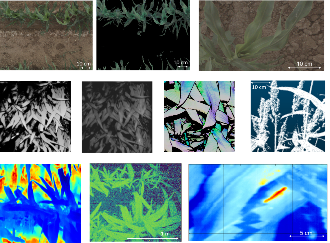 10 figures displaying example data from the TERRA-REF gantry system. from top left, RGB image, RGB soil mask, RGB close up; 3D-scanner data depth, reflectance, and surface normals, point cloud, thermal, PSII fluorescence, Hyperspectral