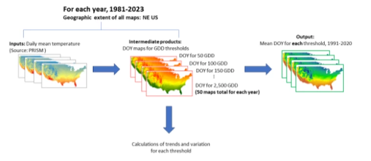 A conceptual graphic of the proposed data analysis pipeline.  Each step is represented by a stack of maps of the continental US.  The top reads: "For each year, 1981-2023; geographic extent of all maps: NE US".  Then, from left to right: "Inputs: Daily mean temperature (source: PRISM)", "Intermediat products: DOY maps for GDD thresholds", "Output: Mean DOY for each threshold, 1991-2020".  Pointing downward from the intermediate products is an arrow labeled "Calculation of trends and variation for each thres