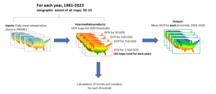 A conceptual graphic of the proposed data analysis pipeline.  Each step is represented by a stack of maps of the continental US.  The top reads: "For each year, 1981-2023; geographic extent of all maps: NE US".  Then, from left to right: "Inputs: Daily mean temperature (source: PRISM)", "Intermediat products: DOY maps for GDD thresholds", "Output: Mean DOY for each threshold, 1991-2020".  Pointing downward from the intermediate products is an arrow labeled "Calculation of trends and variation for each thres