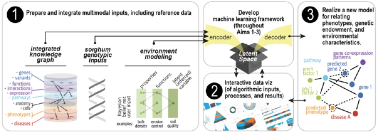 Flow chart for genopheno envo project showing relationshp among project components.