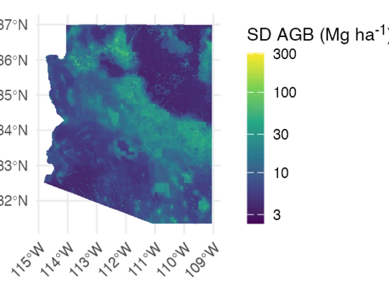 A map of Arizona where the standard deviation in AGB is represented by color.  There is high standard deviation in areas that roughly correspond to mountain ranges and low standard deviation in lower elevations.