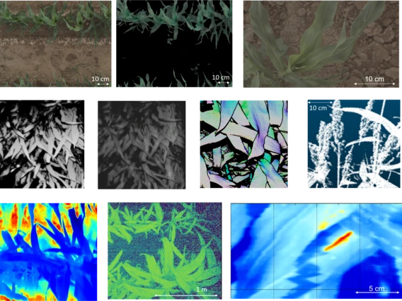 10 figures displaying example data from the TERRA-REF gantry system. from top left, RGB image, RGB soil mask, RGB close up; 3D-scanner data depth, reflectance, and surface normals, point cloud, thermal, PSII fluorescence, Hyperspectral